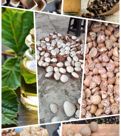 PhotoCollage_1779193709541